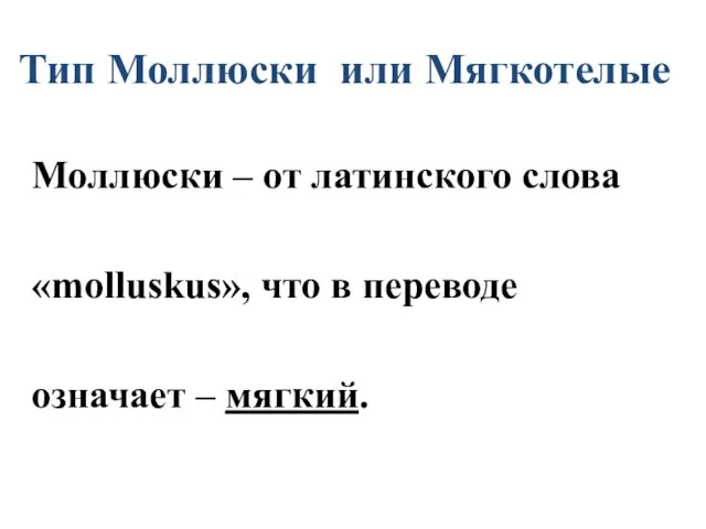 Тип Моллюски или Мягкотелые Моллюски – от латинского слова «molluskus», что в переводе означает – мягкий.