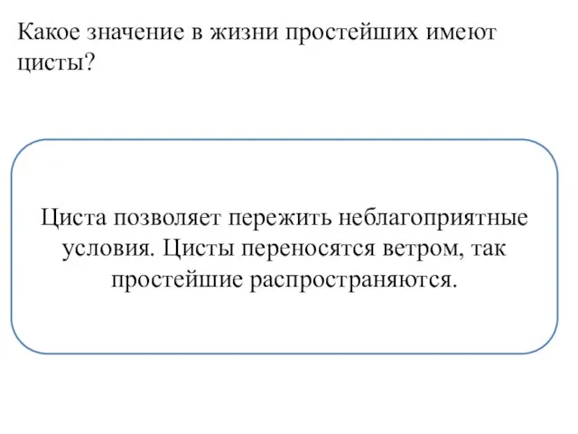 Какое значение в жизни простейших имеют цисты? Циста позволяет пережить неблагоприятные