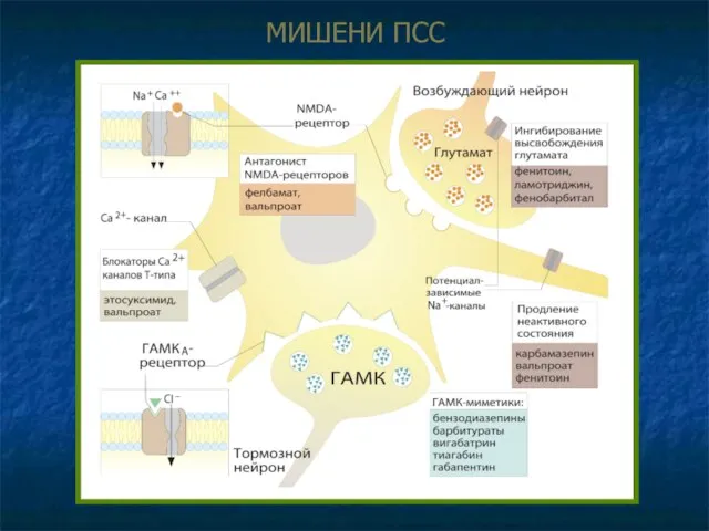 МИШЕНИ ПСС