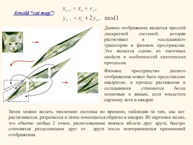 Arnold “cat map”: Данное отображение является простой дискретной системой, которая растягивает