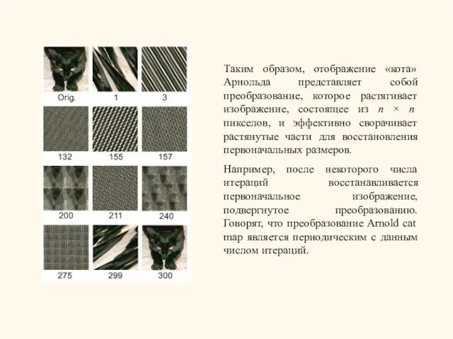 Таким образом, отображение «кота» Арнольда представляет собой преобразование, которое растягивает изображение,