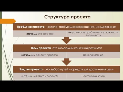 Структура проекта