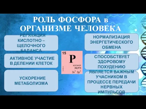 РОЛЬ ФОСФОРА в ОРГАНИЗМЕ ЧЕЛОВЕКА РЕГУЛЯЦИЯ КИСЛОТНО – ЩЕЛОЧНОГО БАЛАНСА НОРМАЛИЗАЦИЯ