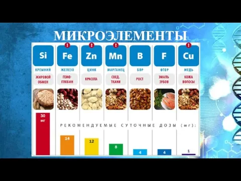 МИКРОЭЛЕМЕНТЫ