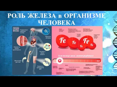 РОЛЬ ЖЕЛЕЗА в ОРГАНИЗМЕ ЧЕЛОВЕКА