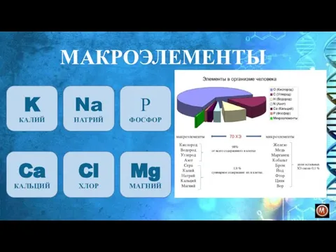 МАКРОЭЛЕМЕНТЫ K КАЛИЙ Na НАТРИЙ Ca КАЛЬЦИЙ Cl ХЛОР Р ФОСФОР Mg МАГНИЙ