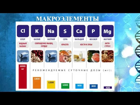 МАКРОЭЛЕМЕНТЫ