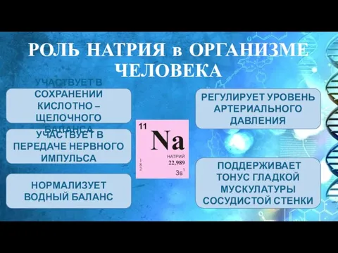 РОЛЬ НАТРИЯ в ОРГАНИЗМЕ ЧЕЛОВЕКА РЕГУЛИРУЕТ УРОВЕНЬ АРТЕРИАЛЬНОГО ДАВЛЕНИЯ УЧАСТВУЕТ В