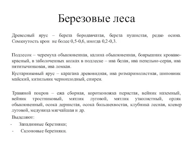 Березовые леса Древесный ярус – береза бородавчатая, береза пушистая, редко осина.