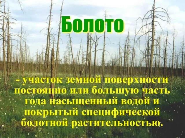 Болото - участок земной поверхности постоянно или большую часть года насыщенный