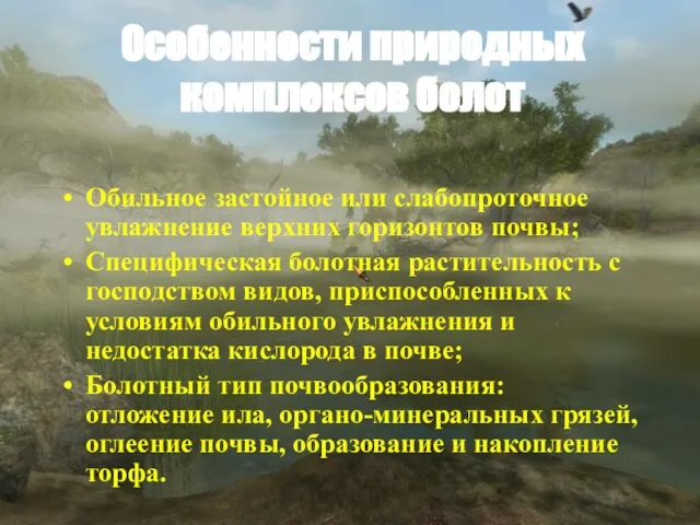 Особенности природных комплексов болот Обильное застойное или слабопроточное увлажнение верхних горизонтов