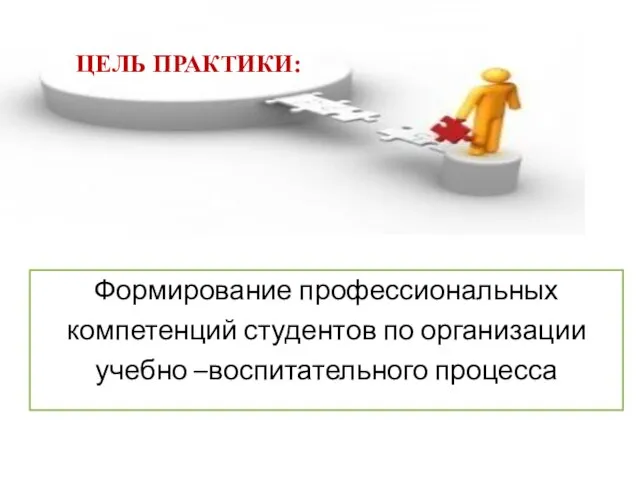 Формирование профессиональных компетенций студентов по организации учебно –воспитательного процесса ЦЕЛЬ ПРАКТИКИ: