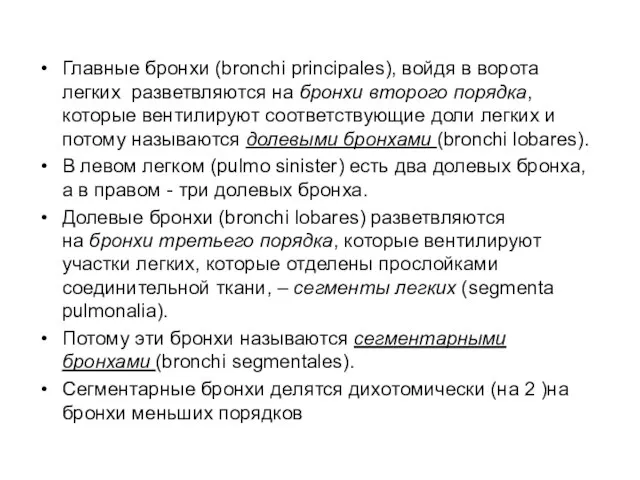 Главные бронхи (bronchi principales), войдя в ворота легких разветвляются на бронхи