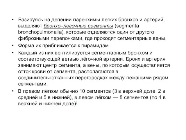 Базируясь на делении паренхимы легких бронхов и артерий, выделяют бронхо–легочные сегменты