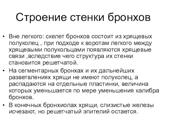 Строение стенки бронхов Вне легкого: скелет бронхов состоит из хрящевых полуколец