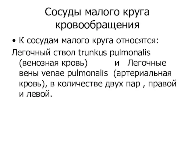 Сосуды малого круга кровообращения К сосудам малого круга относятся: Легочный ствол