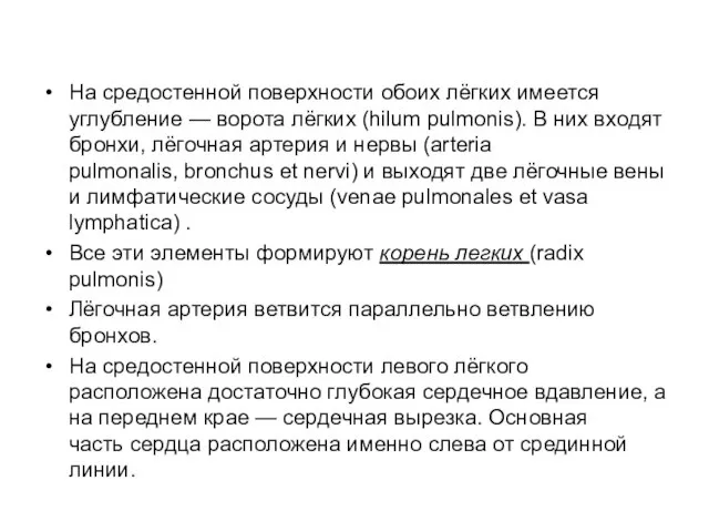 На средостенной поверхности обоих лёгких имеется углубление — ворота лёгких (hilum