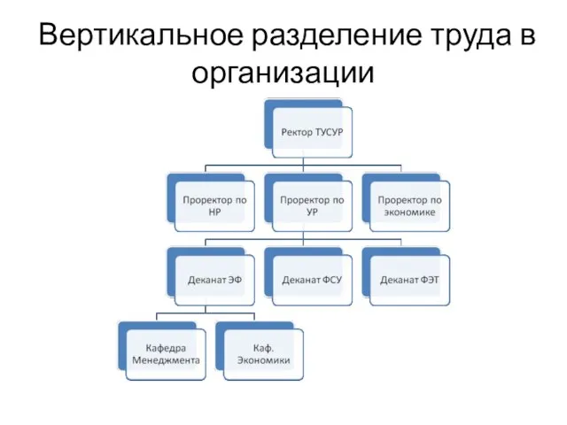 Вертикальное разделение труда в организации