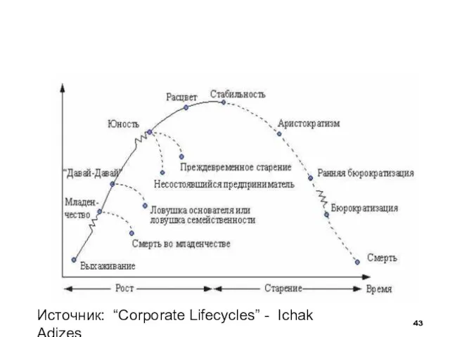 Источник: “Corporate Lifecycles” - Ichak Adizes