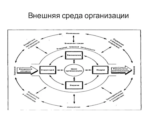 Внешняя среда организации