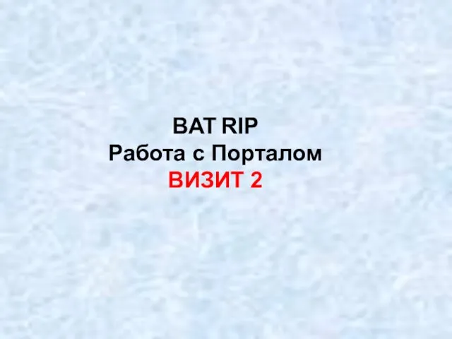 BAT RIP Работа с Порталом ВИЗИТ 2