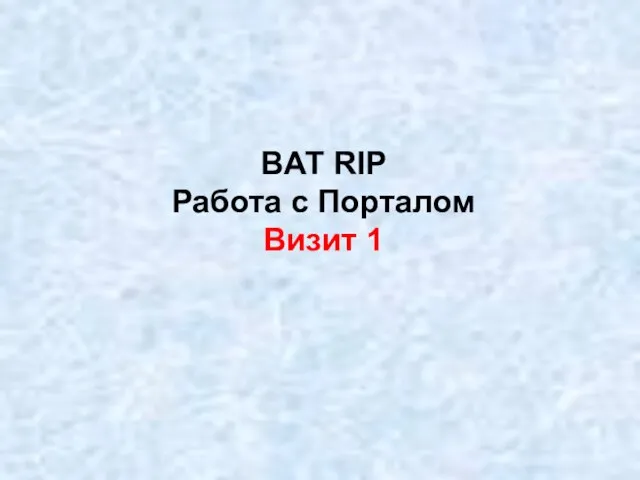 BAT RIP Работа с Порталом Визит 1