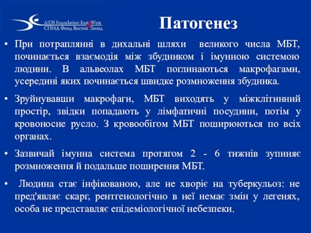 Патогенез При потраплянні в дихальні шляхи великого числа МБТ, починається взаємодія