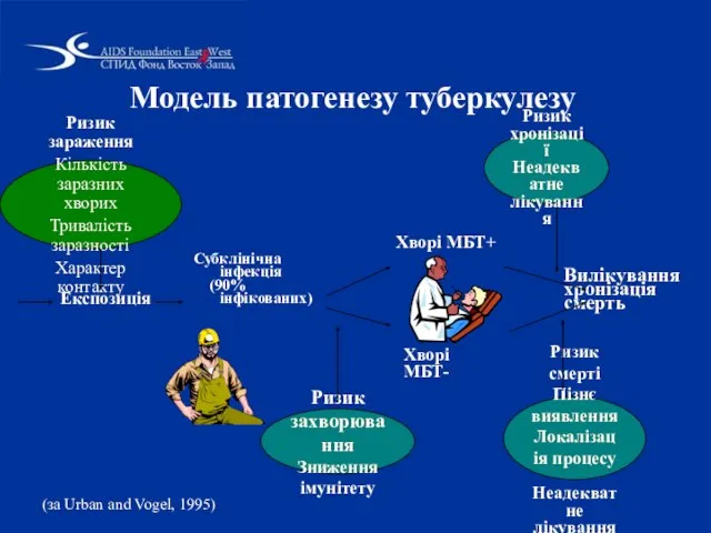 Модель патогенезу туберкулезу Експозиція Субклінічна інфекція (90% інфікованих) Хворі МБТ+ Хворі