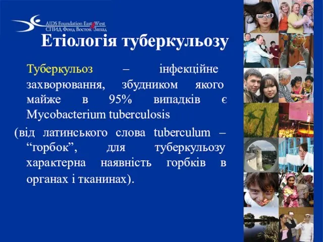 Етіологія туберкульозу Туберкульоз – інфекційне захворювання, збудником якого майже в 95%