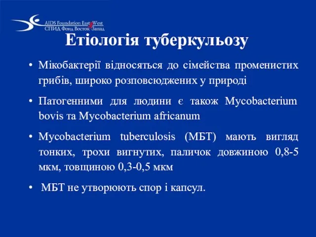 Етіологія туберкульозу Мікобактерії відносяться до сімейства променистих грибів, широко розповсюджених у