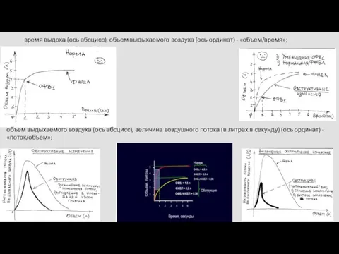 время выдоха (ось абсцисс), объем выдыхаемого воздуха (ось ординат) - «объем/время»;