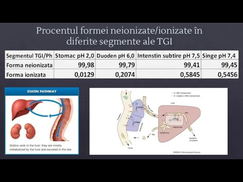 Procentul formei neionizate/ionizate în diferite segmente ale TGI