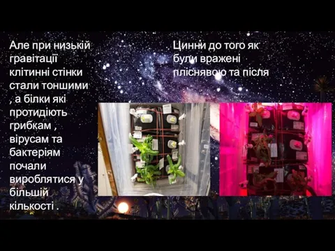 Але при низькій гравітації клітинні стінки стали тоншими , а білки