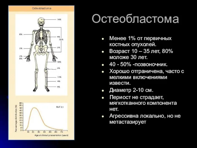 Остеобластома Менее 1% от первичных костных опухолей. Возраст 10 – 35