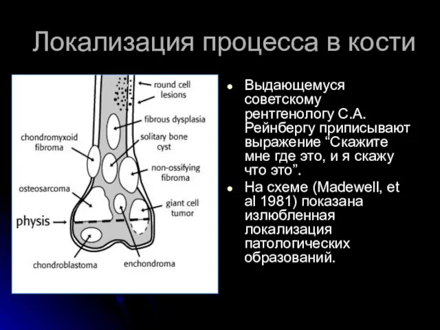 Локализация процесса в кости Выдающемуся советскому рентгенологу С.А.Рейнбергу приписывают выражение “Скажите