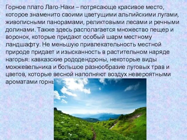 Горное плато Лаго-Наки – потрясающе красивое место, которое знаменито своими цветущими