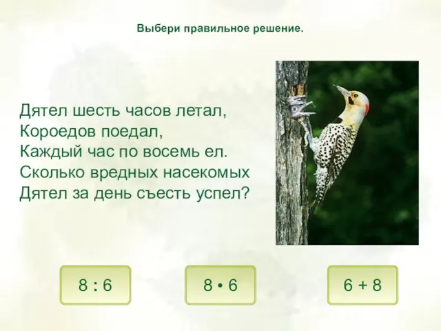 Дятел шесть часов летал, Короедов поедал, Каждый час по восемь ел.