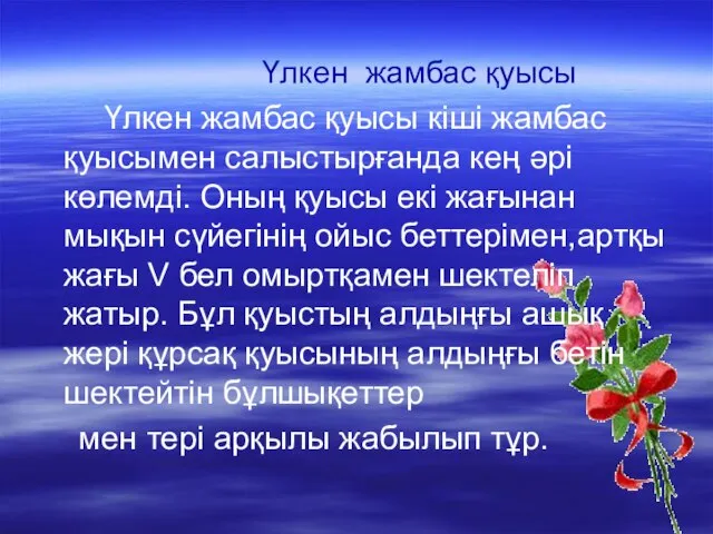 Үлкен жамбас қуысы Үлкен жамбас қуысы кіші жамбас қуысымен салыстырғанда кең