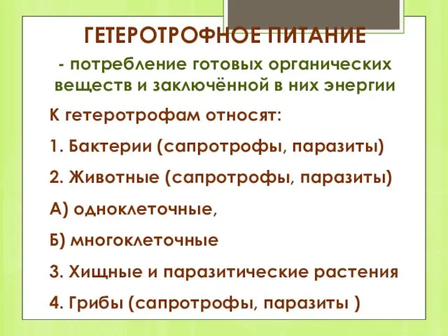 ГЕТЕРОТРОФНОЕ ПИТАНИЕ - потребление готовых органических веществ и заключён­ной в них