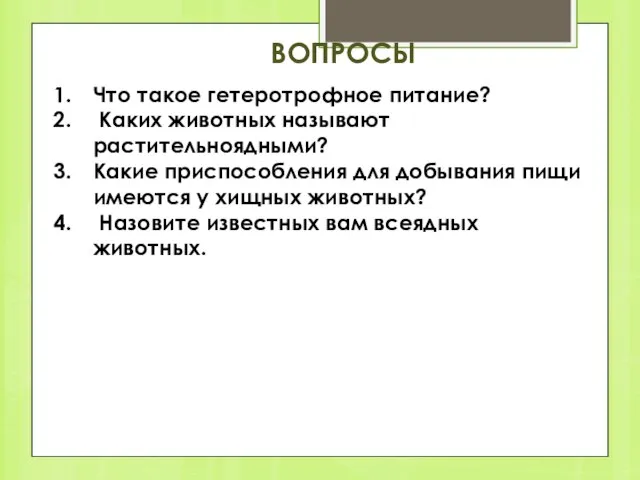 ВОПРОСЫ Что такое гетеротрофное питание? Каких животных называют растительноядными? Какие приспособления