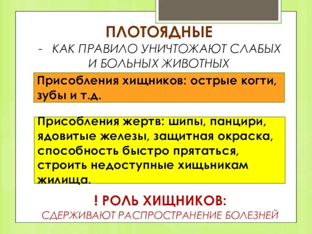 ПЛОТОЯДНЫЕ КАК ПРАВИЛО УНИЧТОЖАЮТ СЛАБЫХ И БОЛЬНЫХ ЖИВОТНЫХ Присобления хищников: острые