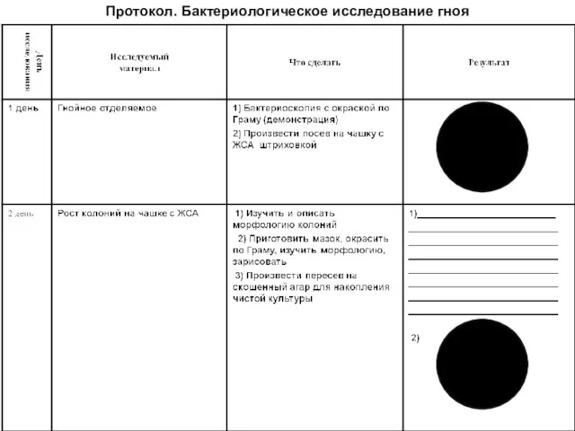 Протокол. Бактериологическое исследование гноя