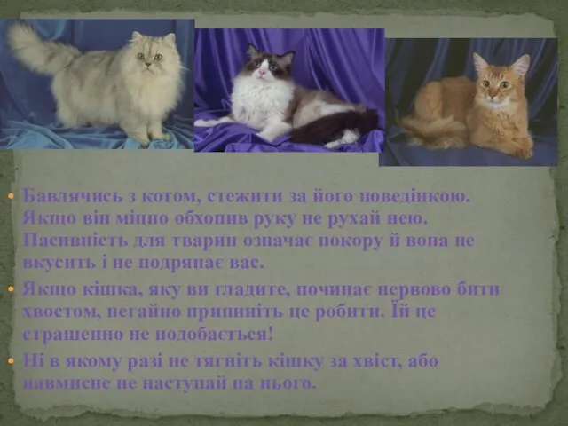 Бавлячись з котом, стежити за його поведінкою. Якщо він міцно обхопив