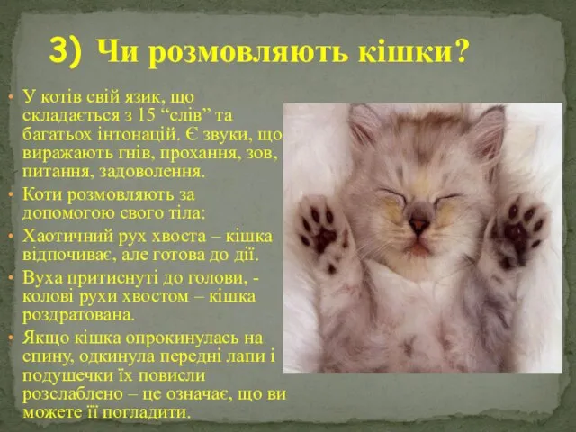 3) Чи розмовляють кішки? У котів свій язик, що складається з