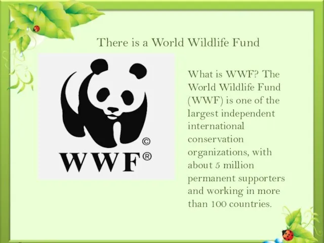 There is a World Wildlife Fund What is WWF? The World