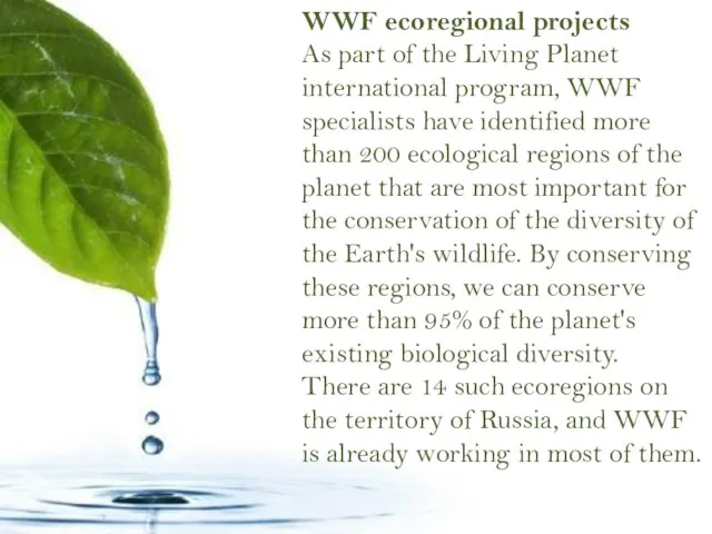 WWF ecoregional projects As part of the Living Planet international program,