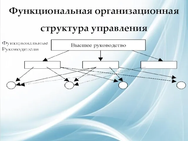 Функциональная организационная структура управления