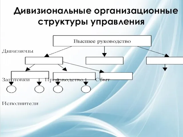 Дивизиональные организационные структуры управления