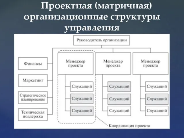 Проектная (матричная) организационные структуры управления