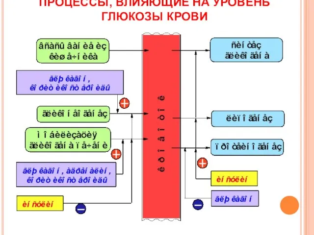 ПРОЦЕССЫ, ВЛИЯЮЩИЕ НА УРОВЕНЬ ГЛЮКОЗЫ КРОВИ